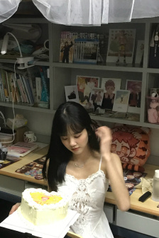 灰姑娘被树干童话小说介绍